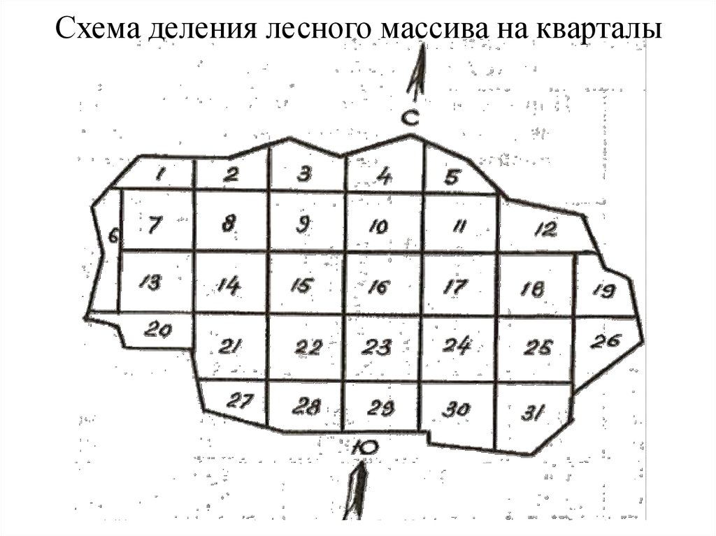 Подели схема