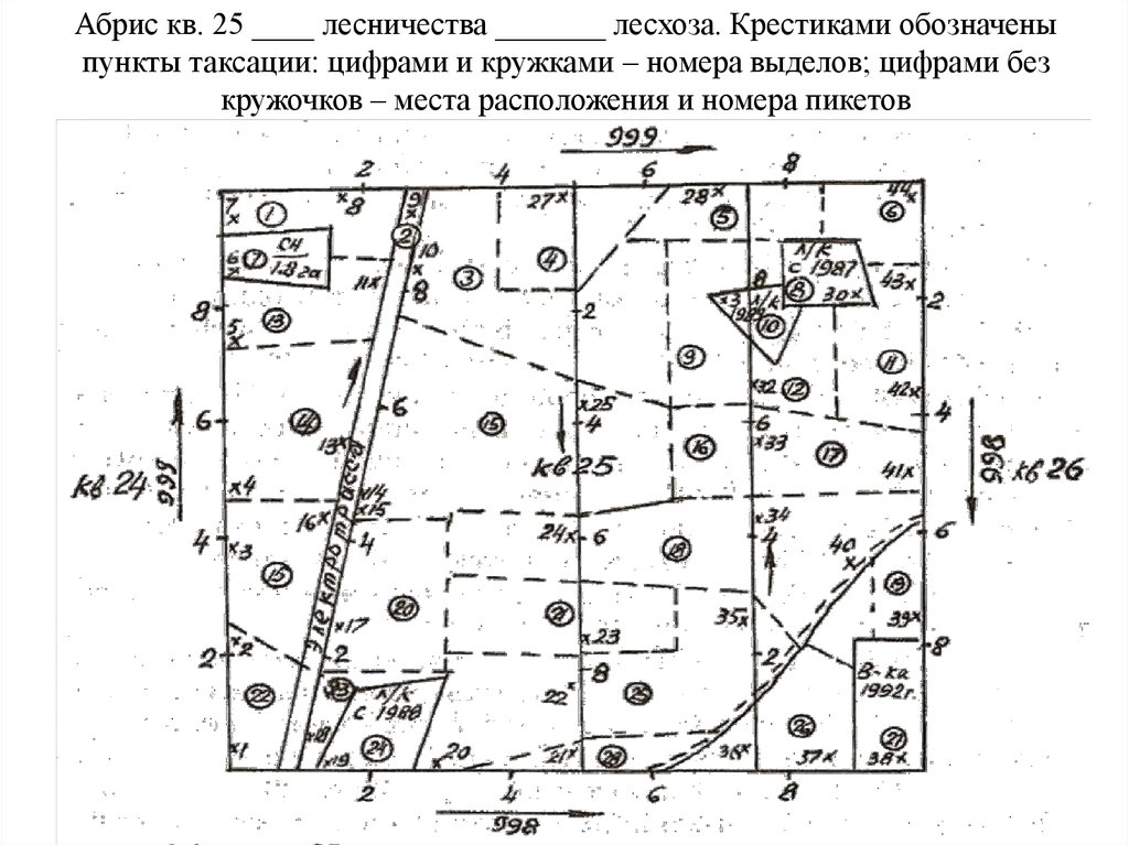 Порядок отвода и таксации лесосек приказ. Абрис отвода делянки. Абрис лесосеки схема. Отвод и таксация лесосек Абрис. Абрис лесосеки 1 к 25000.