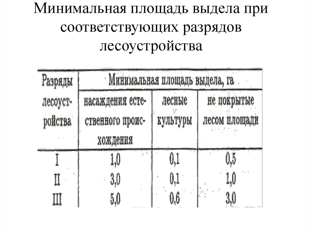 Минимальная площадь. Разряды лесоустройства. Площадь выделов от разряда лесоустройства. Минимальное возможная площадь выдела. Таксационный разряд.