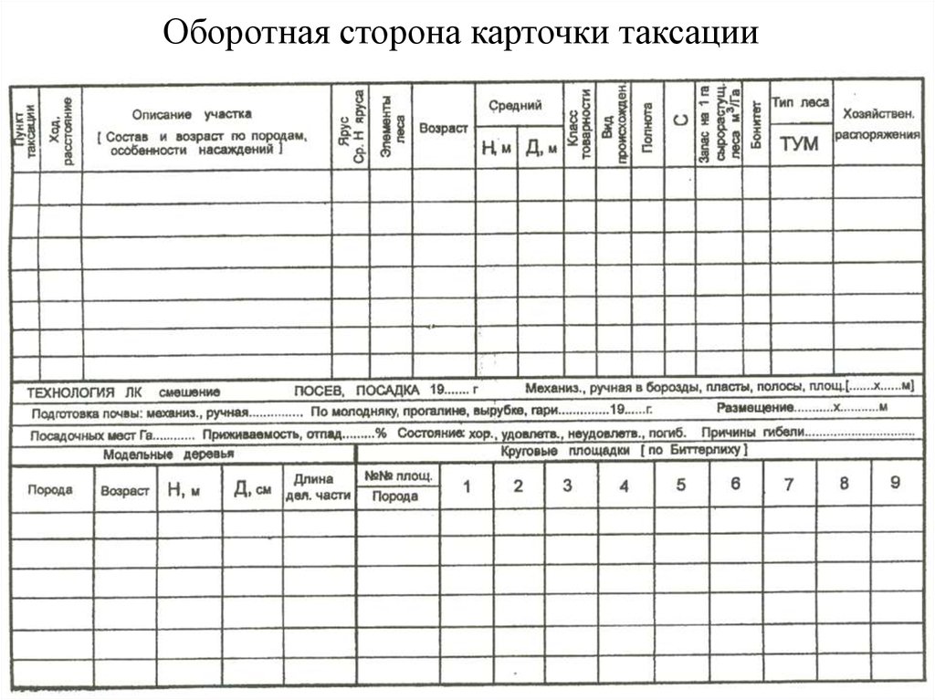 Ведение карточек. Карточка таксации кт-95. Карточка таксации леса порядок её заполнения. Карточки таксации образец. Глазомерная таксация карточка.