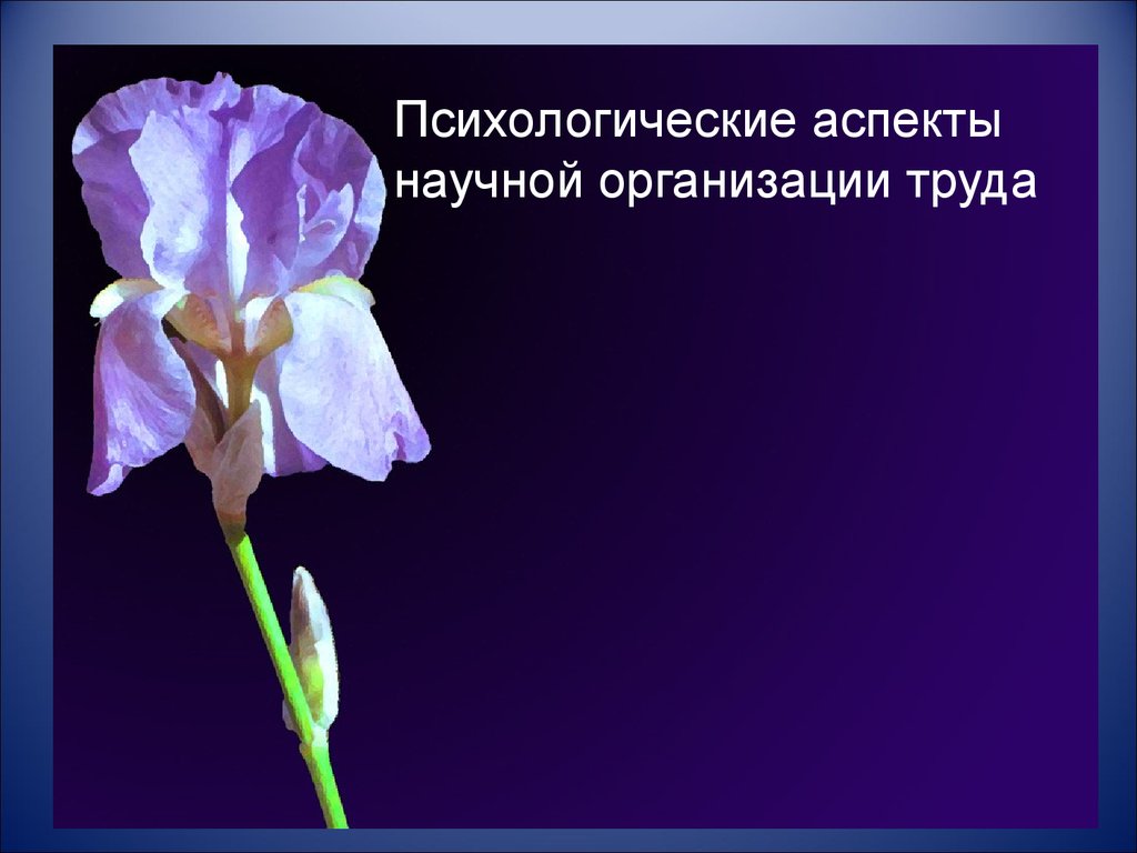 Определяется тем что. Папам посвящается. Посвящается. Папочке посвящается. Всем парам посвящается.