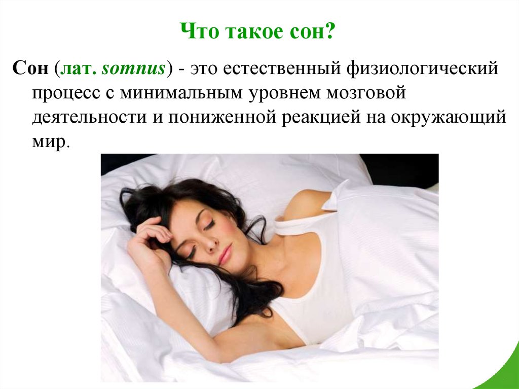 Что такое сон?