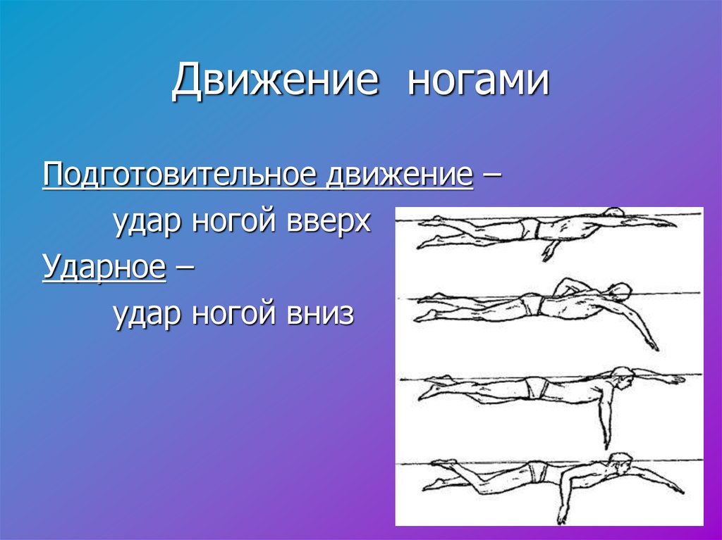 Движение конечностей. Начальное обучение плаванию презентация. Плавание ударные движения ног. Ноги в движении.