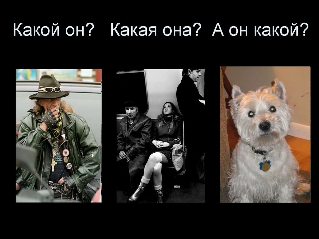 Какой он? Какая она? А он какой?