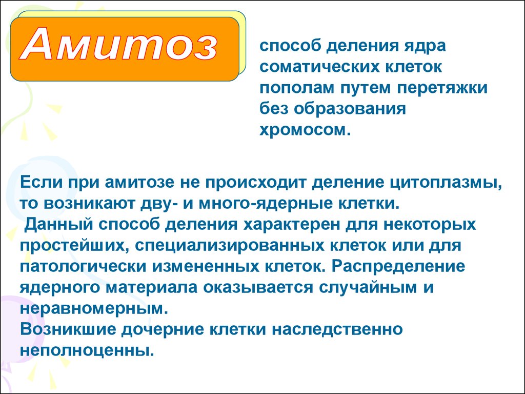 В процессе амитоза происходит неравномерное распределение. Амитоз характерен для клеток. При амитозе не происходит. Что происходит при амитозе. В каких клетках происходит амитоз.