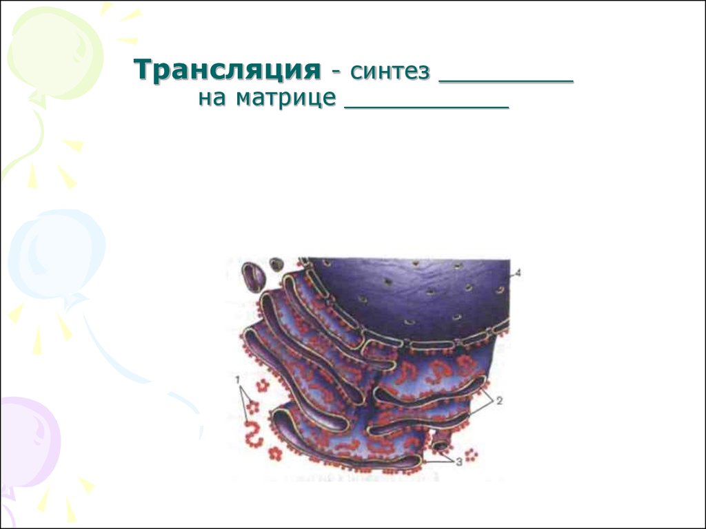 Матрица для синтеза белка