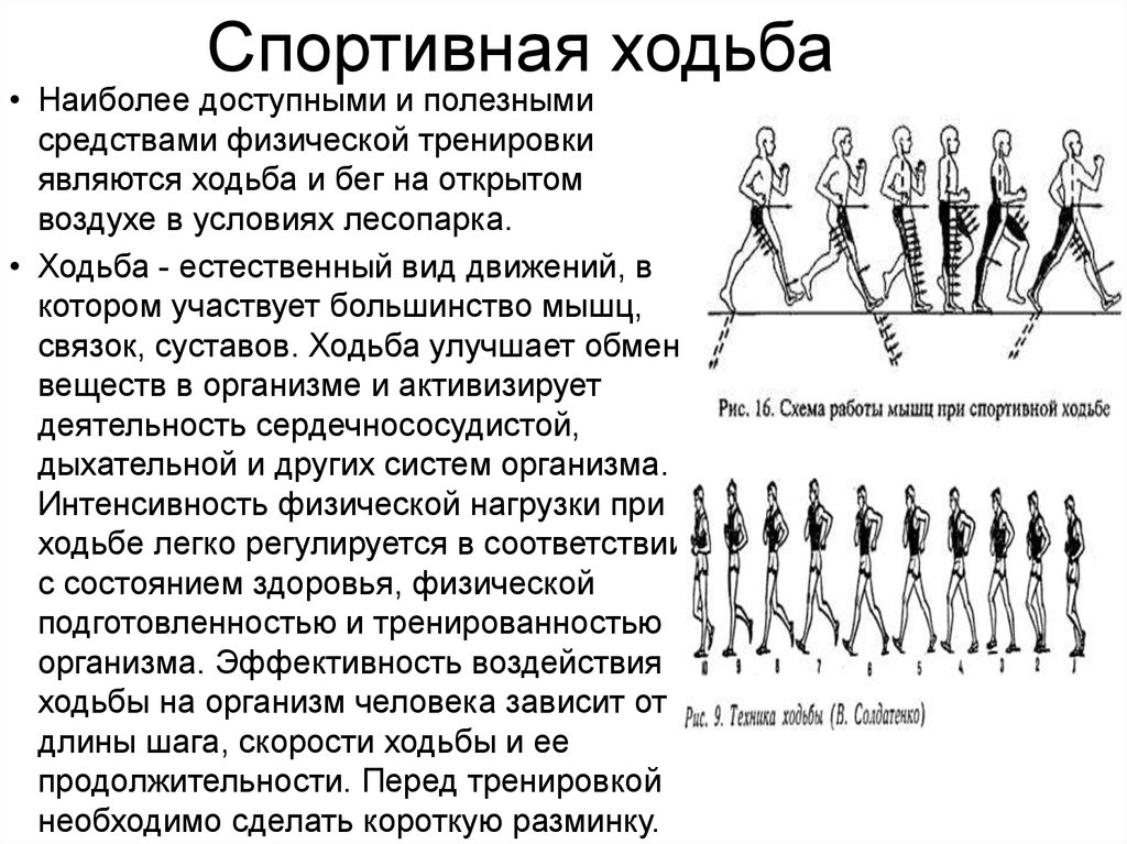 Техника ходьбы. Спортивная ходьба техника. Спортивная ходьба схема. Ходьба виды ходьбы. Физическая культура ходьба.