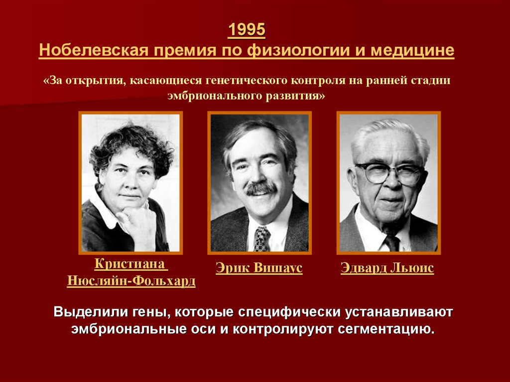 Нобелевская премия по физиологии. Генетический контроль ранних этапов развития. Сегрегационные гены. Нобелевская премия по физиологии и медицине. Беквист впервые выделил ген.