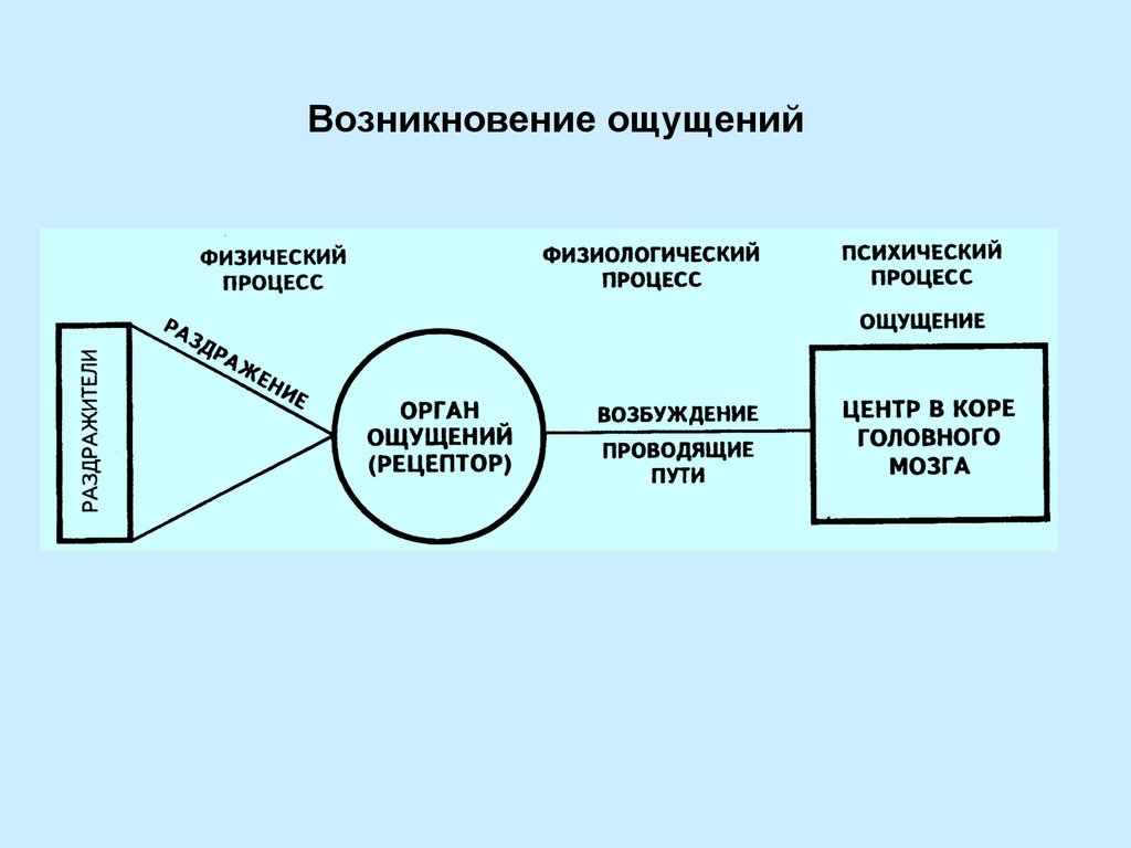 Ощущение возникает на