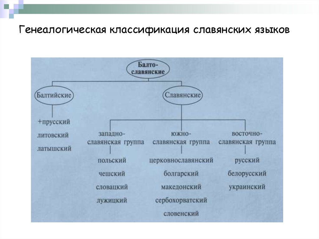 Генеалогическая классификация славянских языков