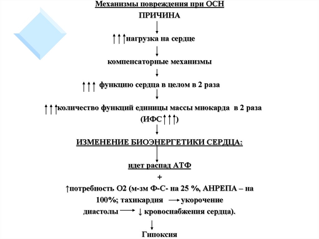 Компенсаторные механизмы при сердечной недостаточности