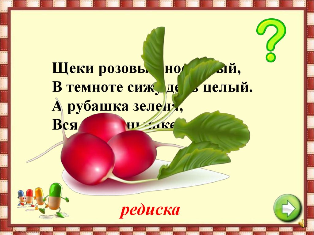 Загадка про редис. Стихи про овощи для детей. Редиска стих. Детские стишки про овощи. Стихи про редиску для детей.