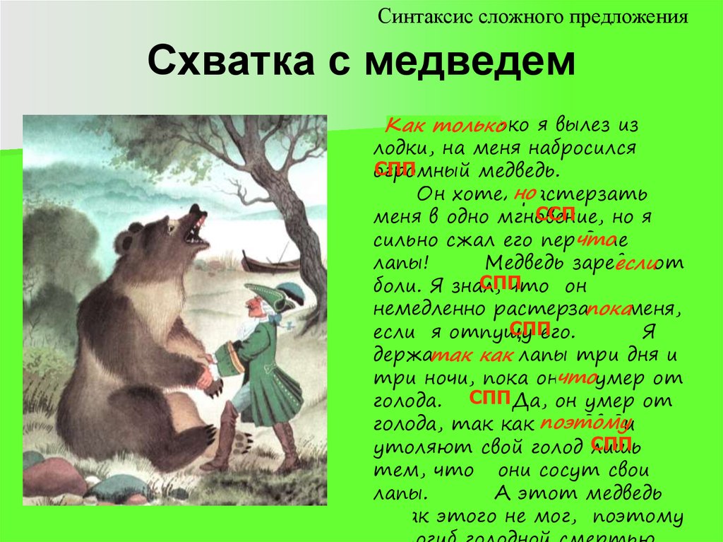 Составить предложение из слов медведь. Предложения со словом медведь из произведения. Предложение про медведя. Предложение про медведя 1 класс. Сложное предложение Медвежонок.