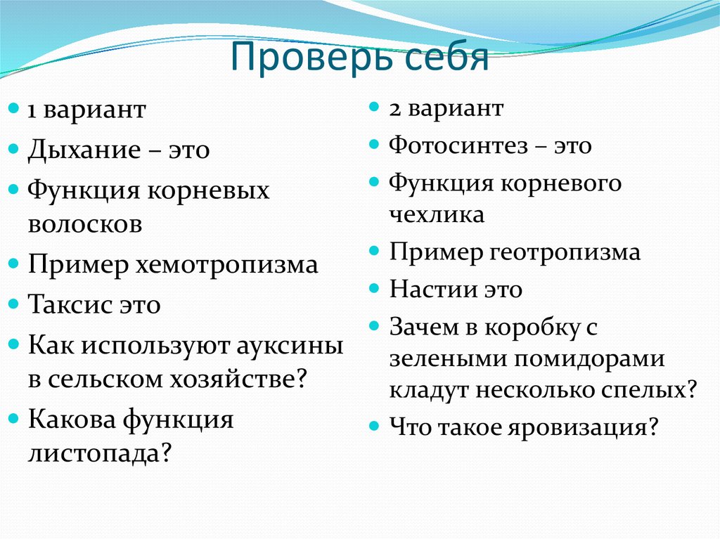 Проверь себя