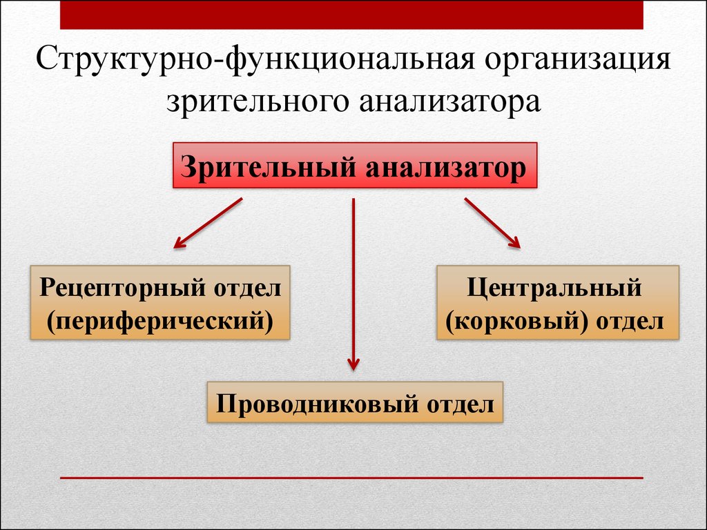 Структурно функциональная схема анализатора