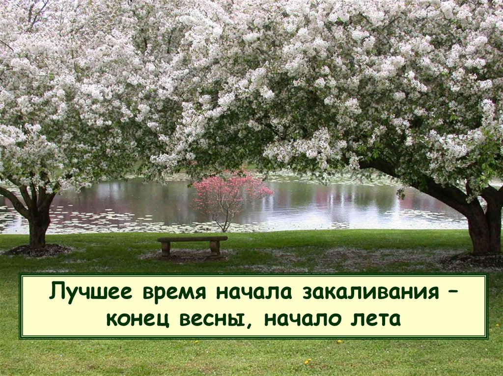 Май закончился. Конец весны. Конец весны начало лета. Весна заканчивается. С окончанием весны и началом лета.