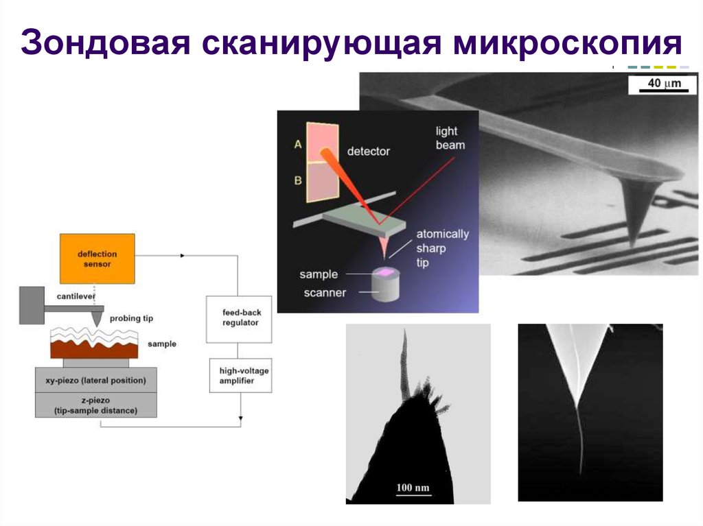 Чем обеспечивается качество формируемого изображения в сканирующих зондовых микроскопах