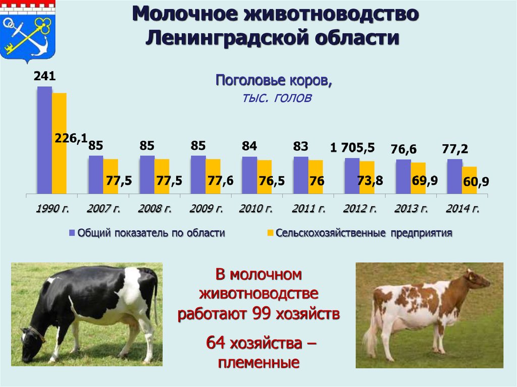 Среднегодовое поголовье коров. Животноводство в Ленобласти. Страны молочного животноводства. Молочное животноводство.