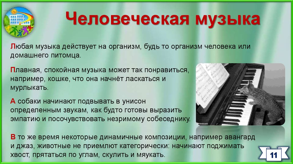 Плавное музыкальное. Любые песни. Характеристика любой песни. Плавная мелодия. Музыки любые музыки.