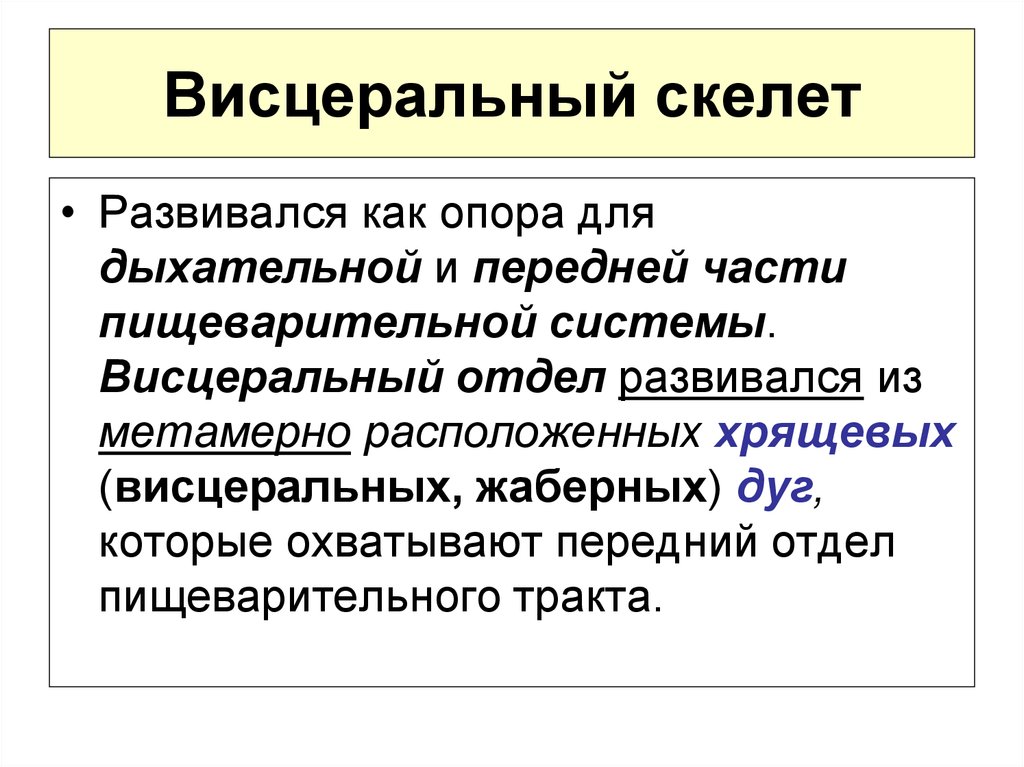 Висцеральный скелет. Преобразование висцерального скелета. Эволюция висцерального скелета. Висцеральный скелет это в биологии.