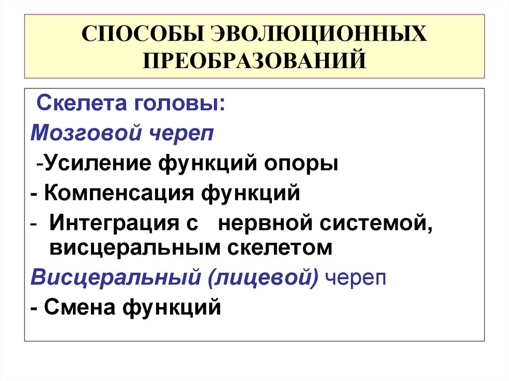 Эволюционные приобретения покрытосеменных схема