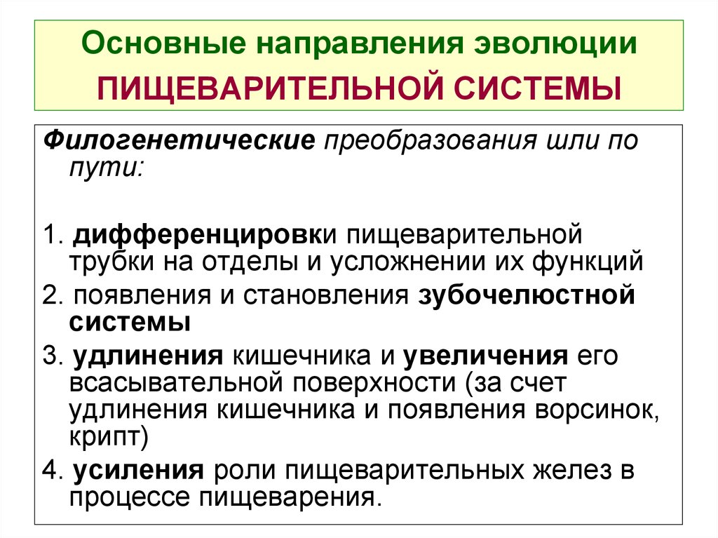 Основные эволюционные изменения