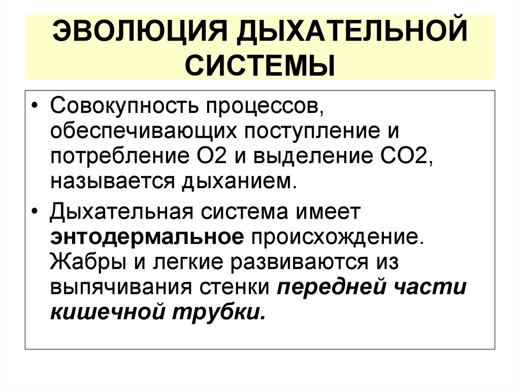 Эволюция дыхательной системы презентация 7 класс