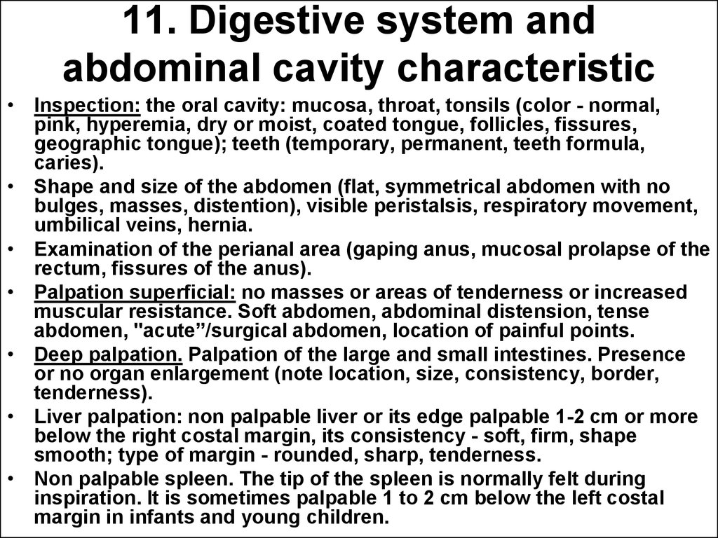 11. Digestive system and abdominal cavity characteristic