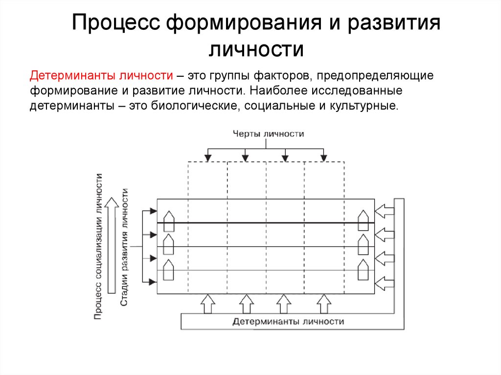 Детерминанты это. Детерминанты развития личности. Основные детерминанты развития личности. Биологические и социальные детерминанты развития личности. Социальные детерминанты личности дифференциальная психология.