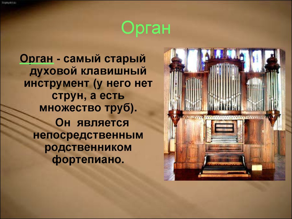 Понятие орган. Сообщение об органе. Орган презентация. Доклад про орган. Сообщение об органе музыкальном инструменте.