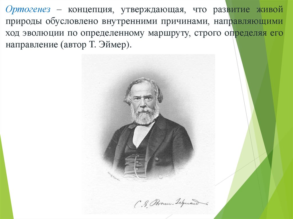 Автором теории эволюции является