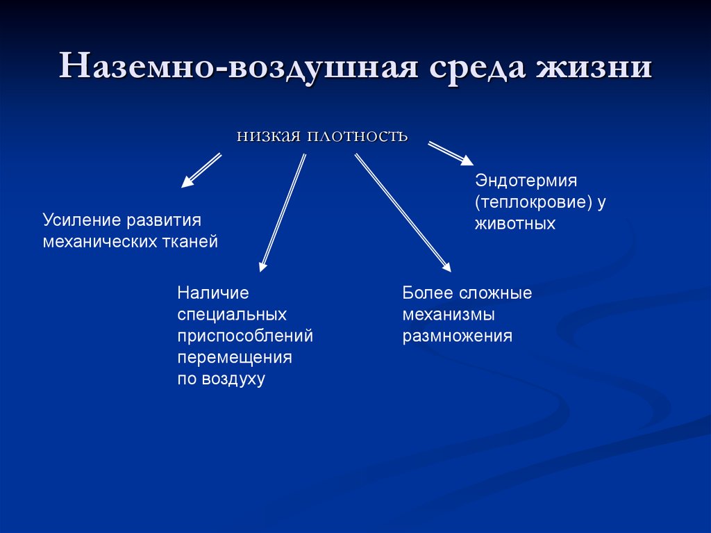 Что достаточно в воздушной среде. Роль воздушной среды в жизни организмов. Характеристика наземно-воздушной среды. Лимитирующие факторы наземно-воздушной среды. Воздушная среда классификация.