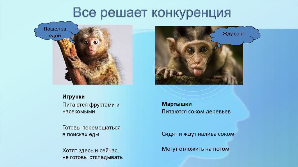 Все решает конкуренция