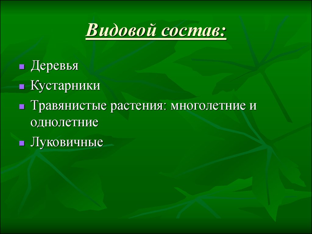 Проект видовой состав растений