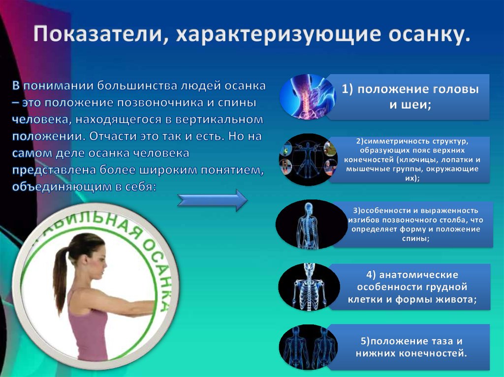 Показатели, характеризующие осанку.
