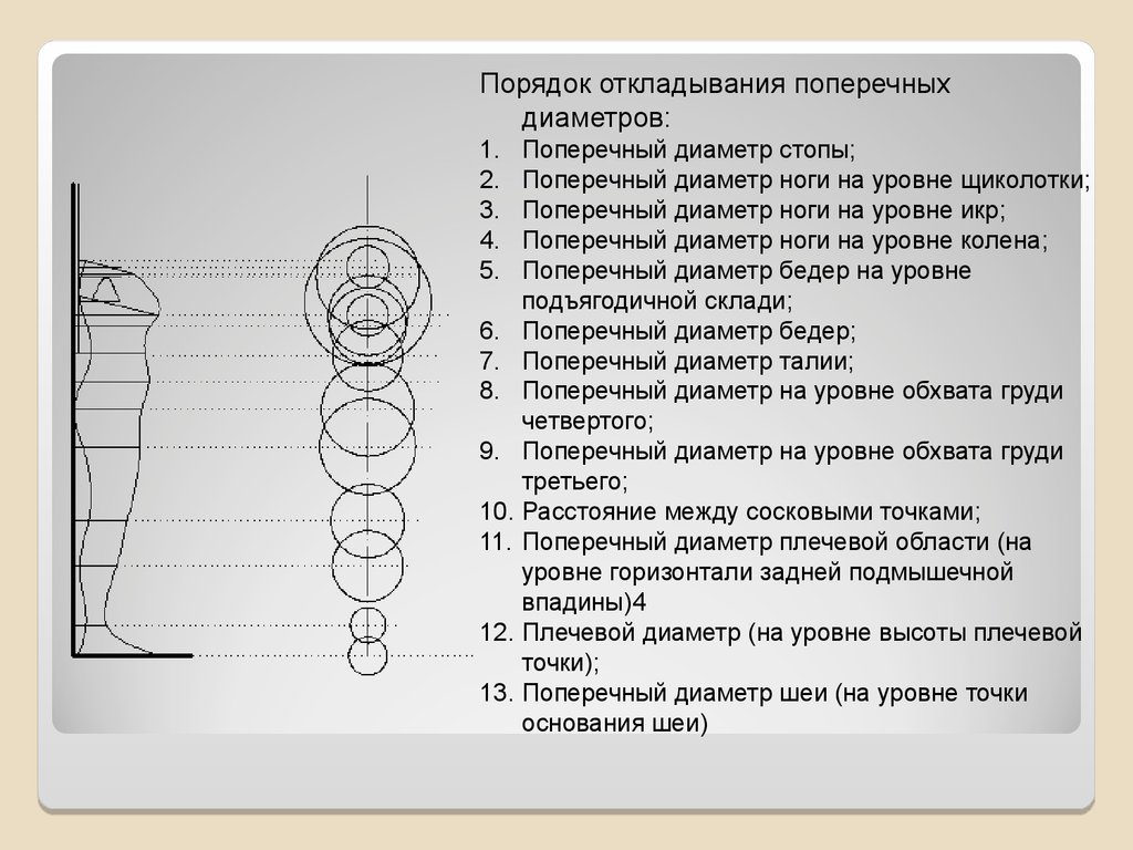 Поперечный диаметр. Диаметр дистальной части плеча. Поперечный диаметр груди. Плечевой диаметр. Поперечный диаметр шеи как измерить.