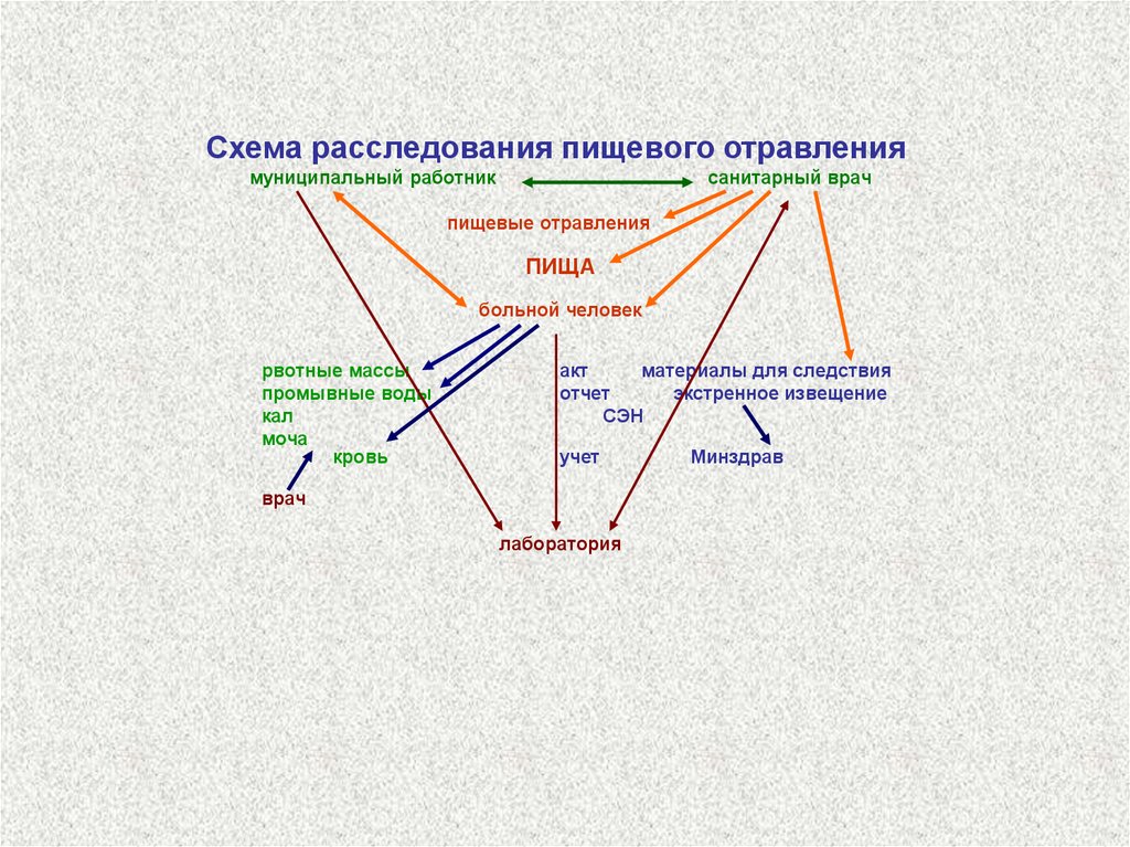 Схема пищевых отравлений