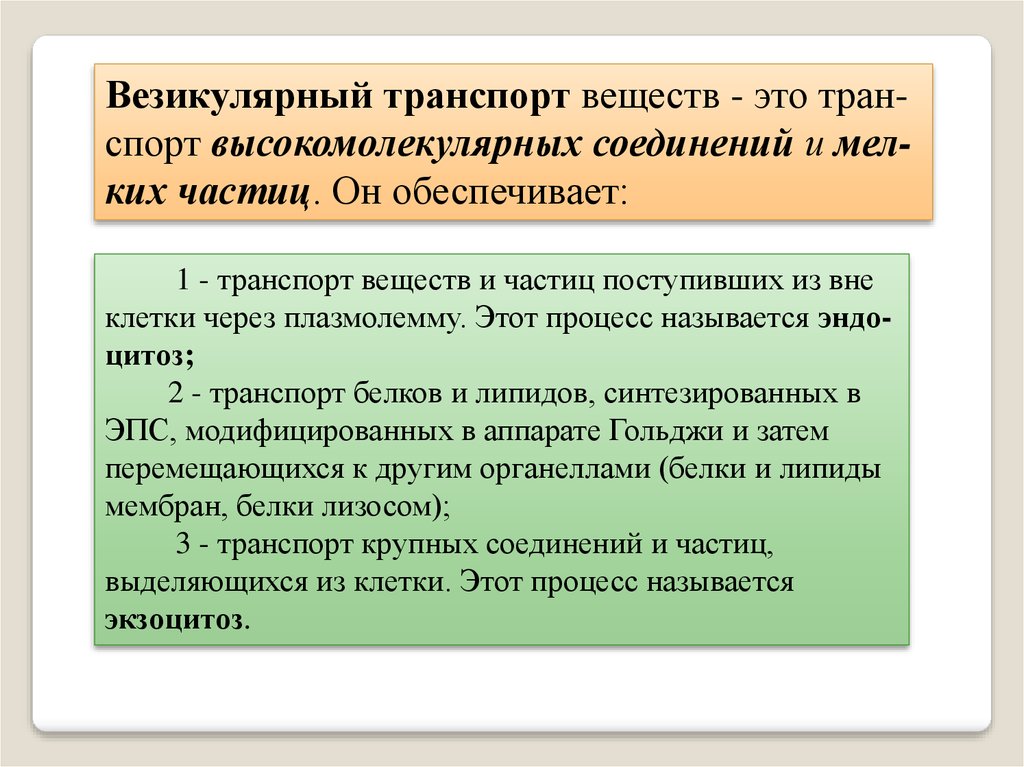 Обеспечивает транспорт веществ