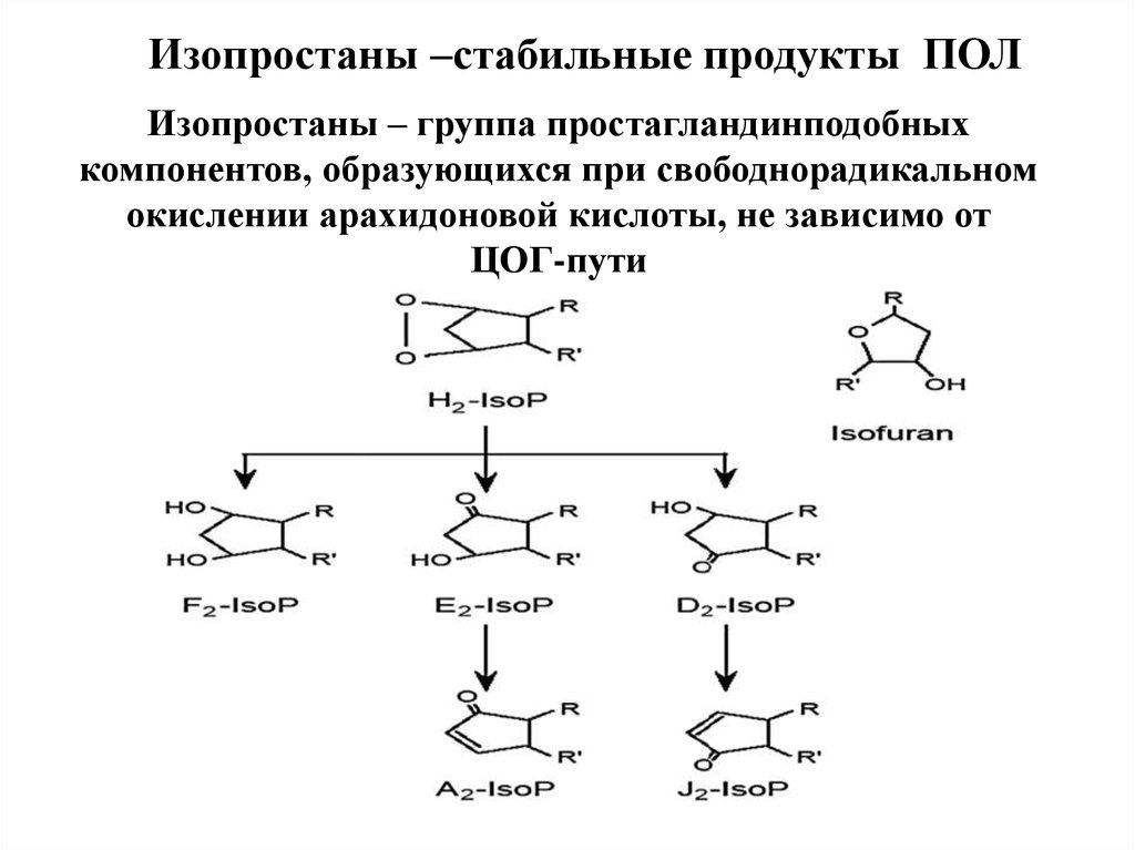 Перекисное окисление липидов презентация