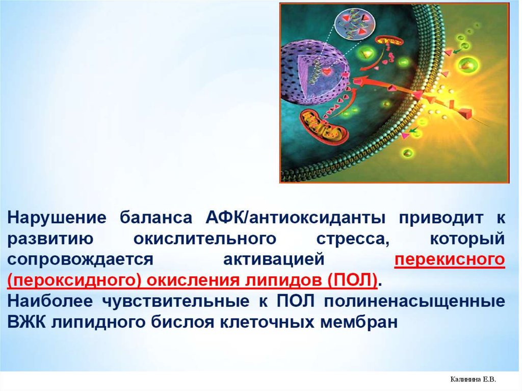 Липиды окисляются в процессе. Перекисное окисление липидов. Перекисное окисление липидов биохимия. Перекисное окисление липидов мембран. Роль перекисного окисления липидов.