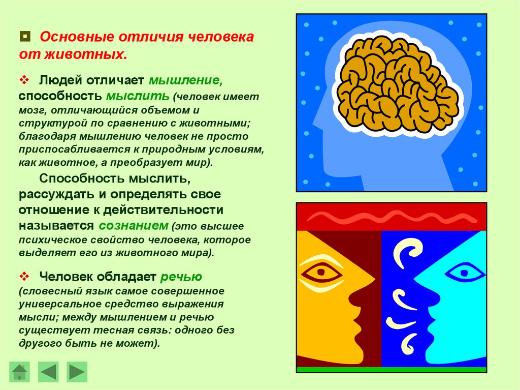 Есть ли сознание у животных презентация