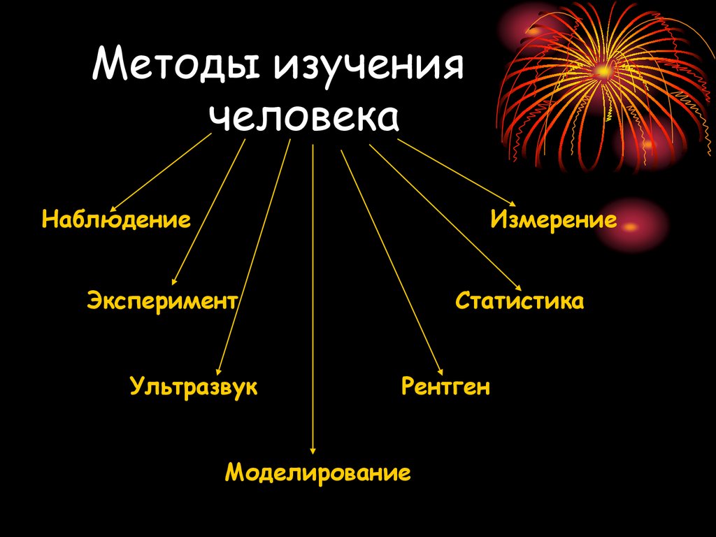 Наука изучающая развитие человека. Методы исследования человека биология. Методы ищучения чеоовеу. Методы изучения. Современные методы исследования человека.