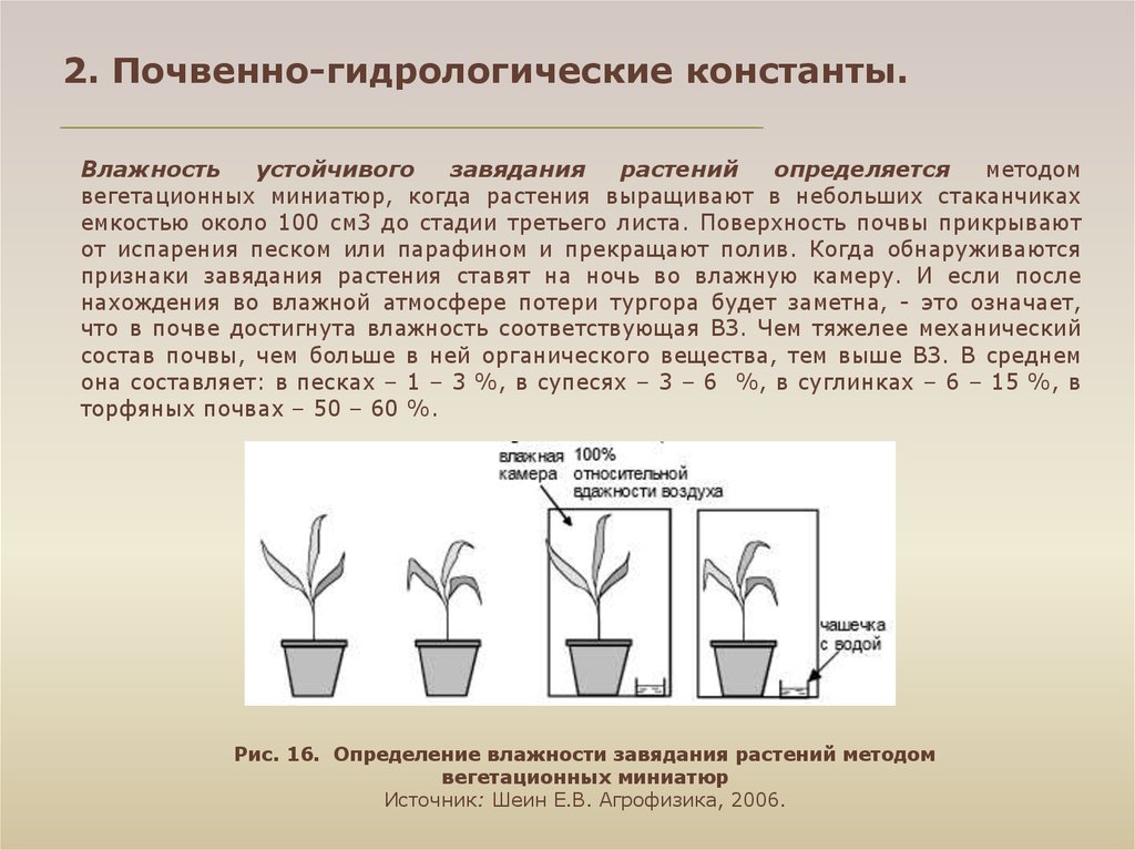 Почвенная влажность