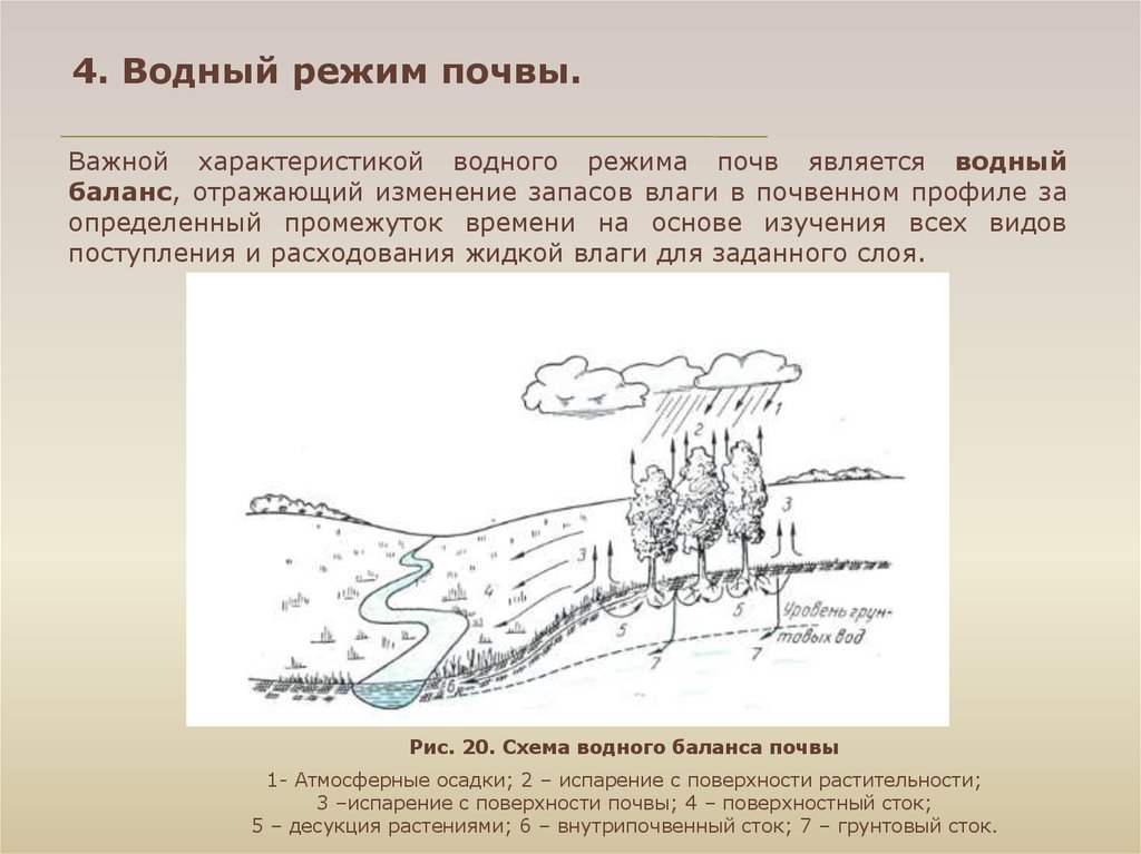 Водный режим почвы презентация