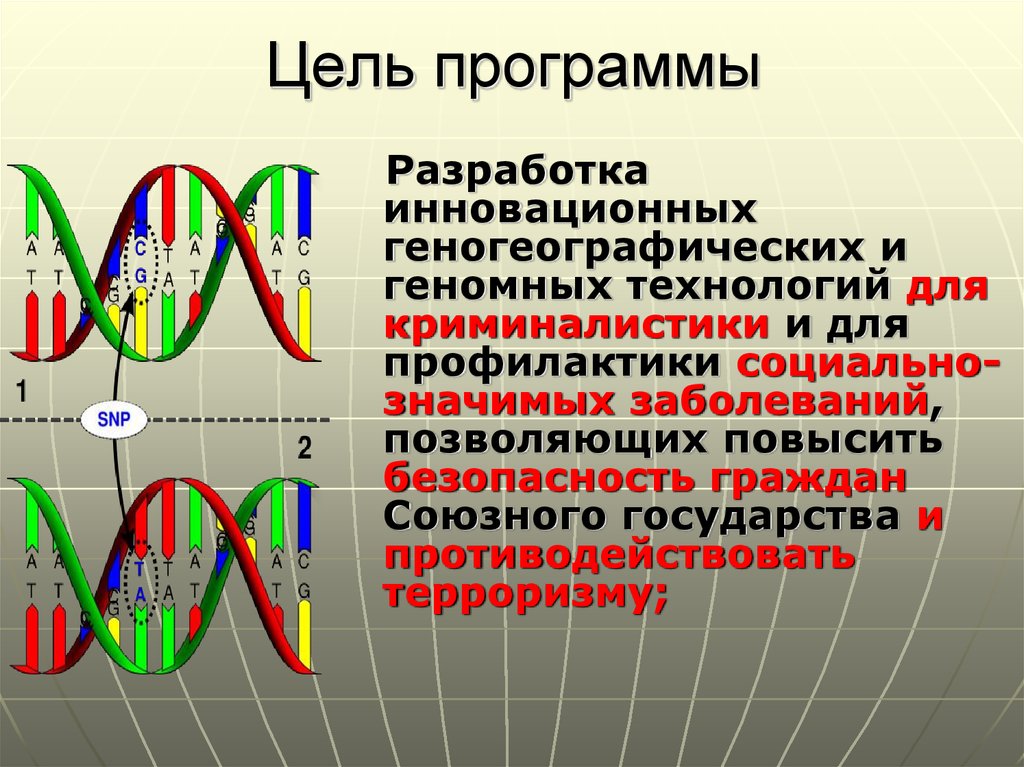 Метод днк идентификации. Идентификация по ДНК. ДНК идентификация реферат. Геномные данные в информационной технологии. Программа ДНК.