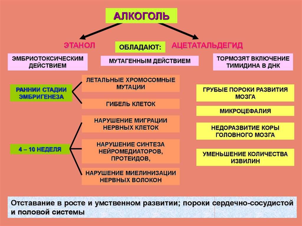 Обладать действующий. Мутагенный эффект. Мутагенным эффектом обладает. МУТАГЕННОЕ действие это. Мутагенным и эмбриотоксическим действием обладают:.