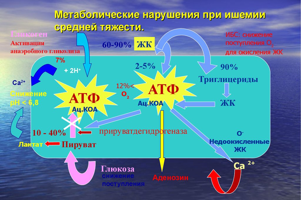 Метаболические нарушения. Метаболические нарушения ИБС. Метаболические нарушения при ишемии. Пируват при ИБС.