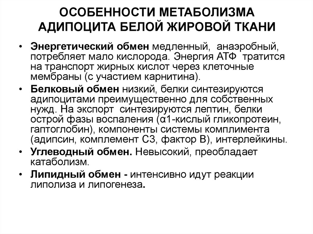 Особенность ю. Метаболизм жировой ткани. Особенности метаболизма жировой ткани. Особенности белой жировой ткани. Метаболизм углеводов в белой жировой ткани.