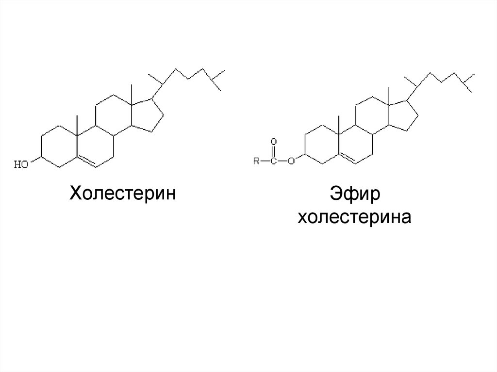 Эфир. Эфир холестерина формула. Эфир холестерина формула структурная. Холестерид структурная формула. Эфир холестерина и олеиновой кислоты.