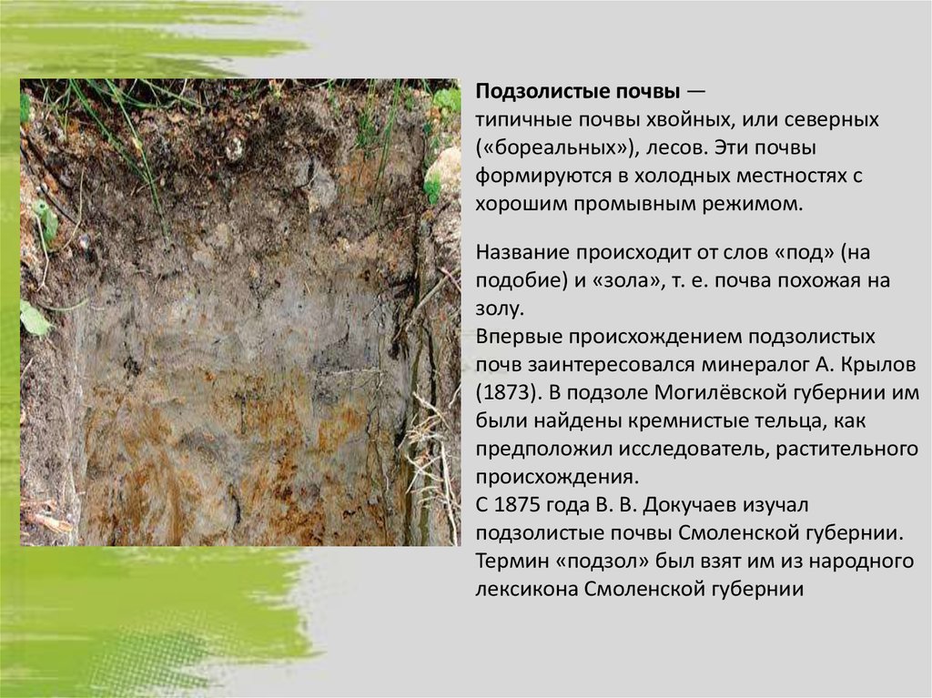 Как используется подзолистая почва. Дерново-подзолистые почвы Ленинградской области. Дерново-подзолистые почвы 4 класс окружающий мир. Подзолистая почва окружающий мир. Подзолистый Тип почвы.